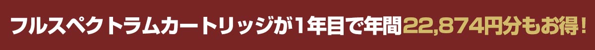 1年目で年間こんなにお得