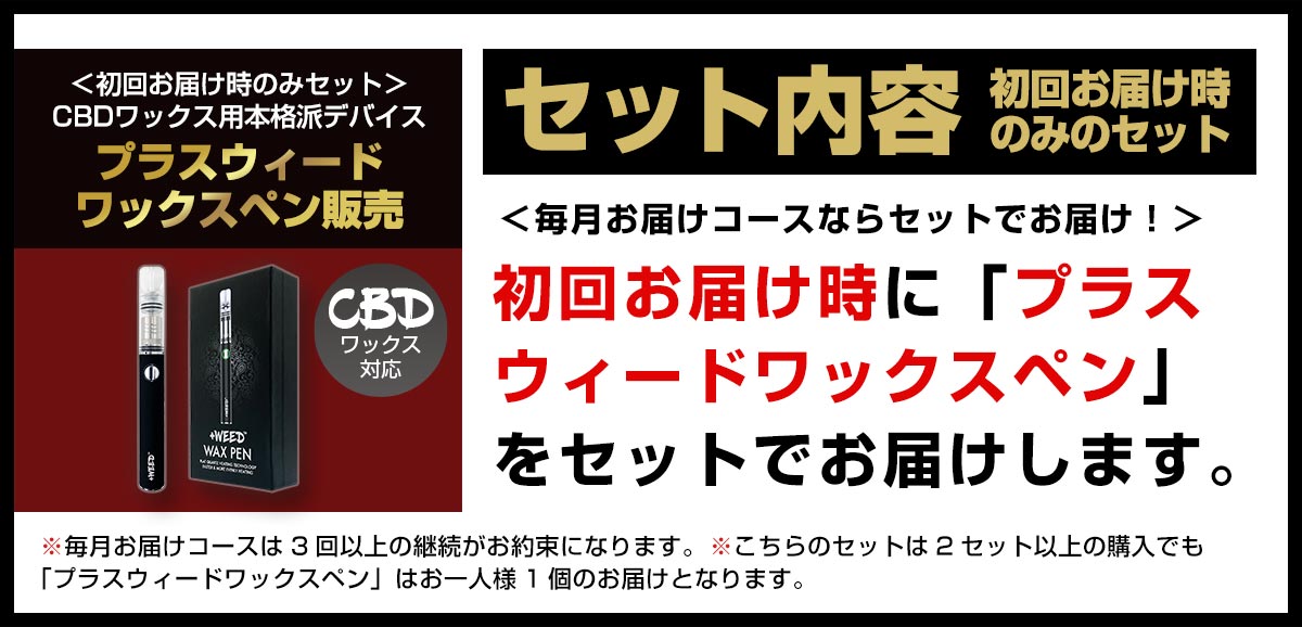 本体セット販売