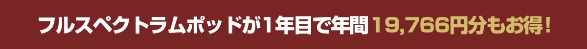 1年目で年間こんなにお得