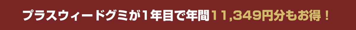 1年目で年間こんなにお得