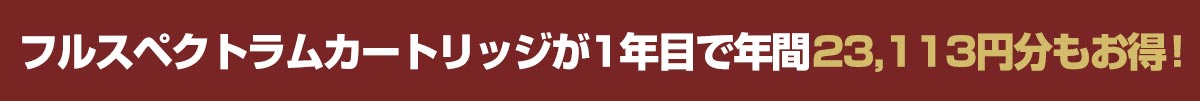 1年目で年間こんなにお得