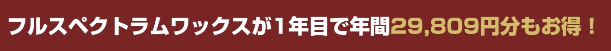 1年目で年間こんなにお得