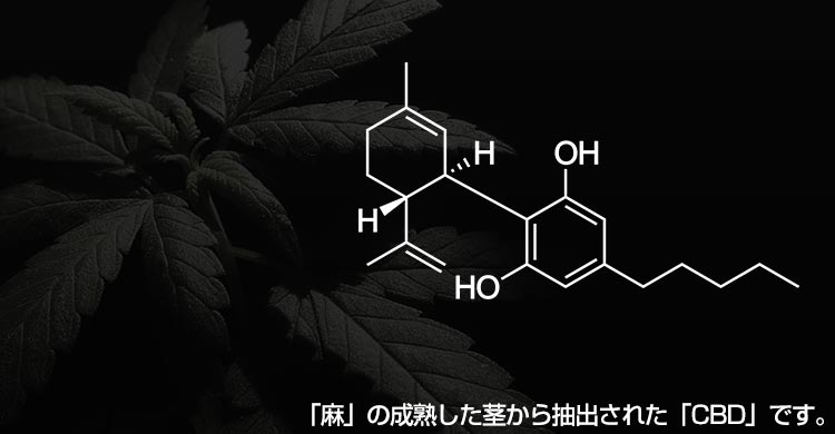 合法CBDカンナビジオール