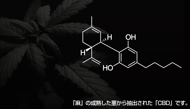 合法CBDカンナビジオール