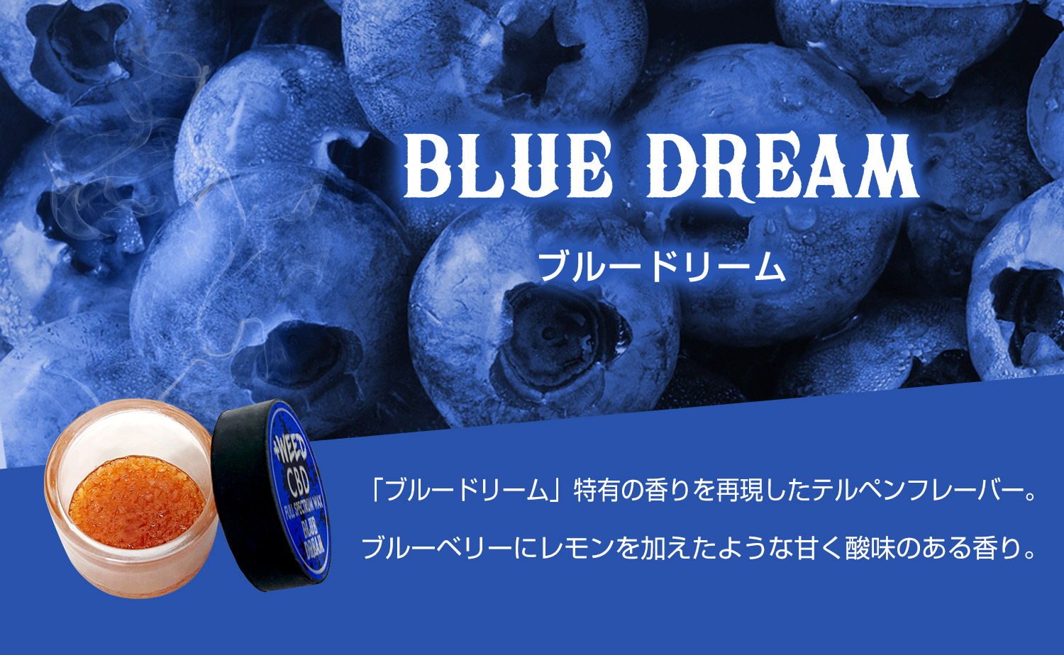 BLUE DREAM（ブルードリーム）