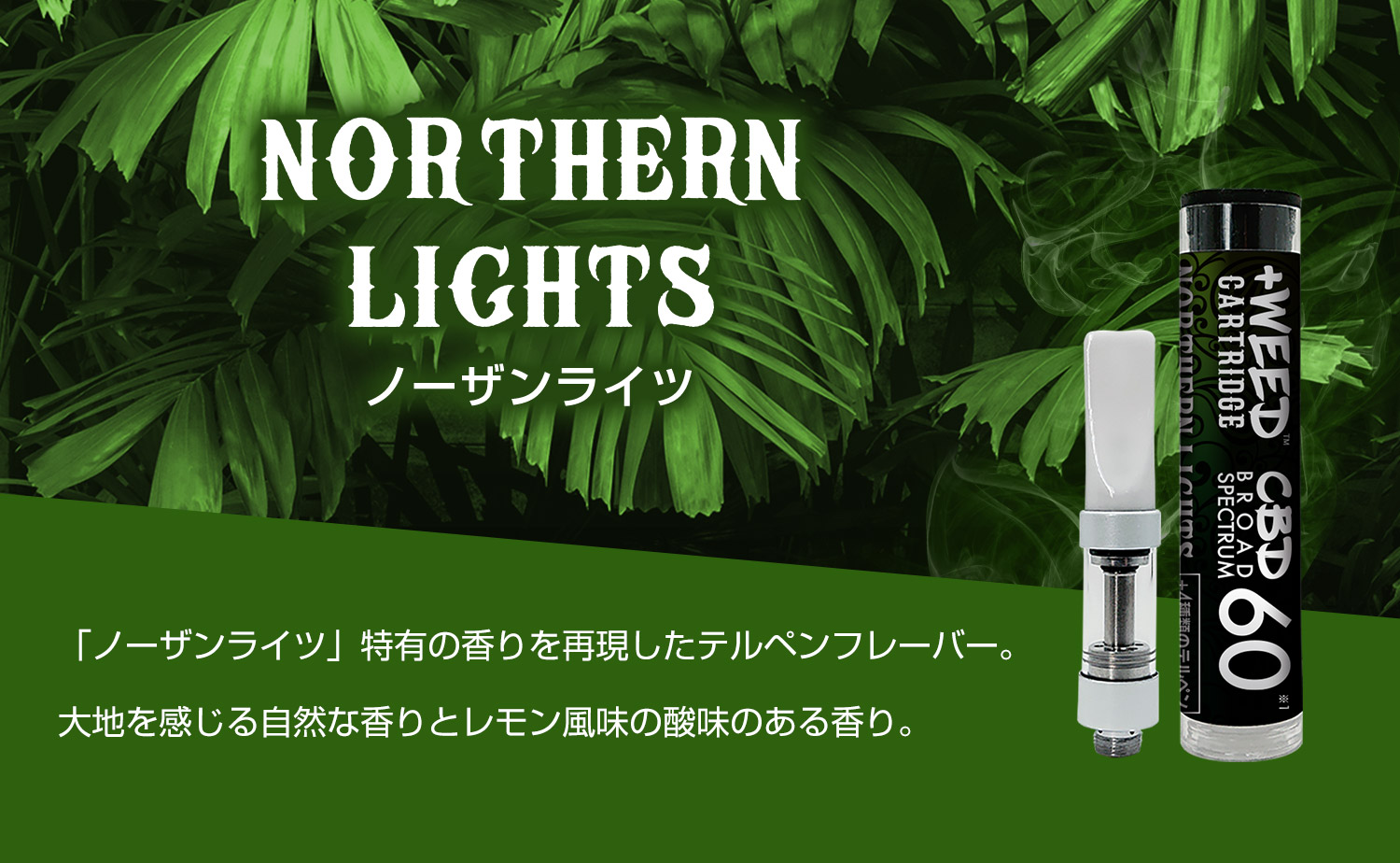 NORTHERN LIGHTS（ノーザンライツ）