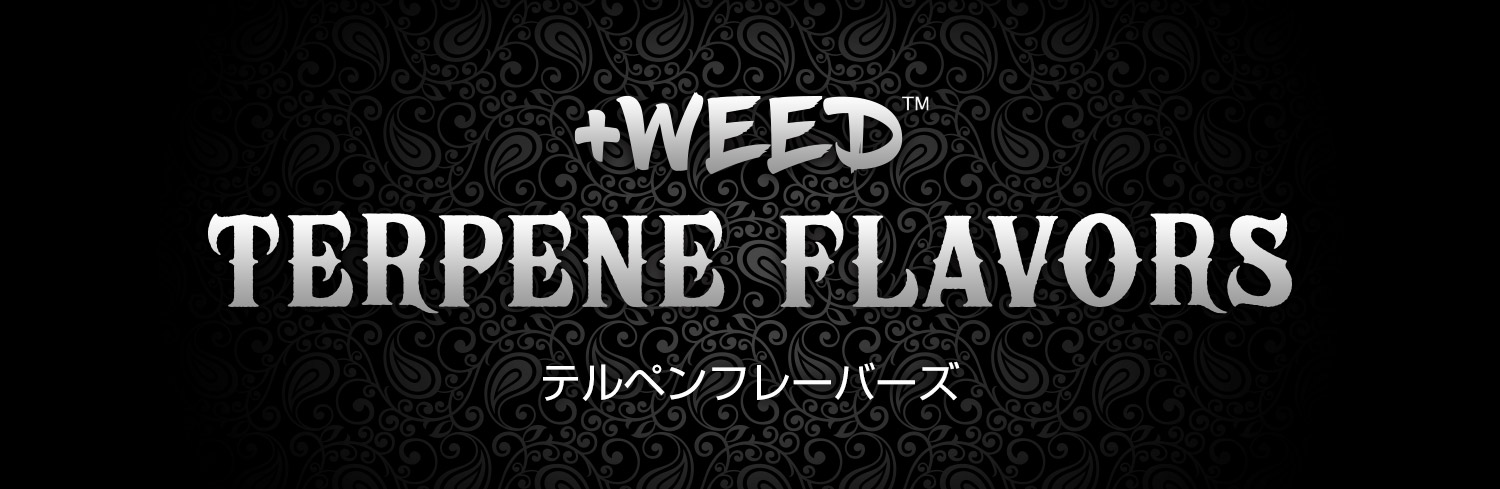 テルペンフレーバー見出し