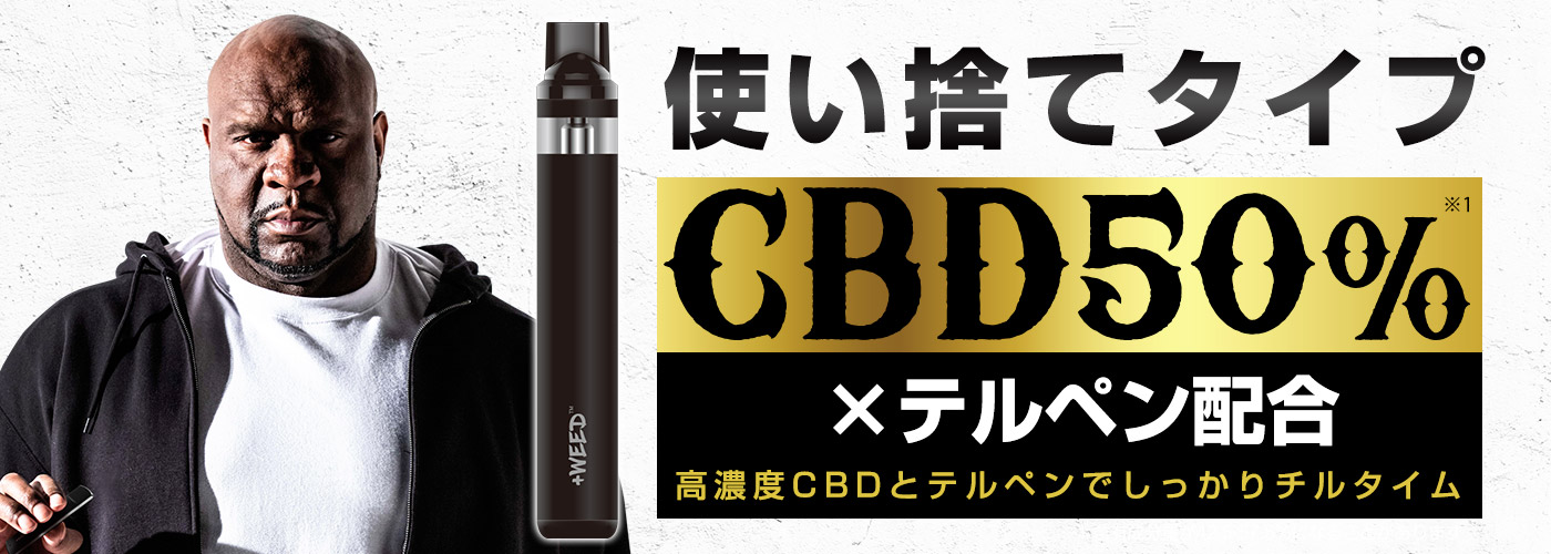 専用　キャナウェイ　ヘンプクレンザー　2本 C945,C946：SONY ウォークマン ZX2とPHA-3用 キャリングケース