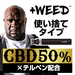 バナー参考画像