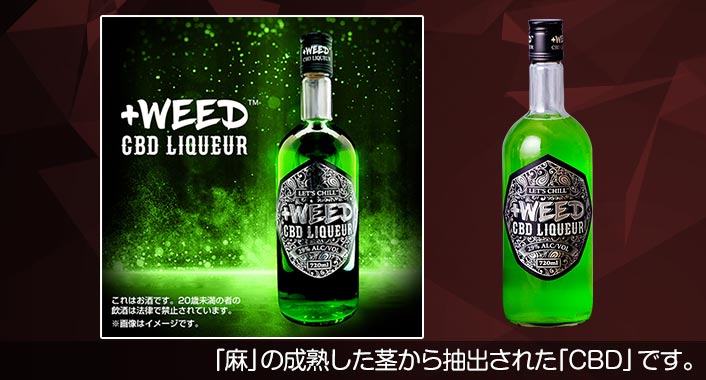 ポイント6