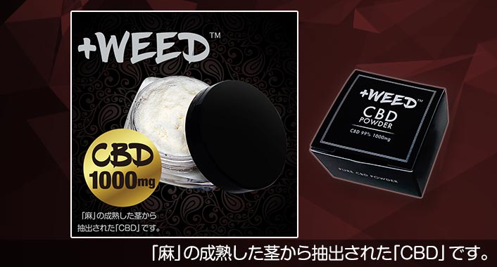 ポイント6